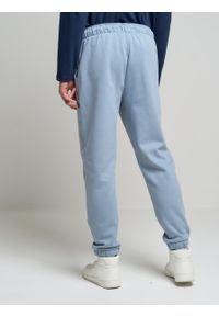 Big-Star - Spodnie dresowe męskie z bawełny organicznej niebieskie William 400. Kolor: niebieski. Materiał: dresówka, bawełna. Wzór: aplikacja, nadruk #3