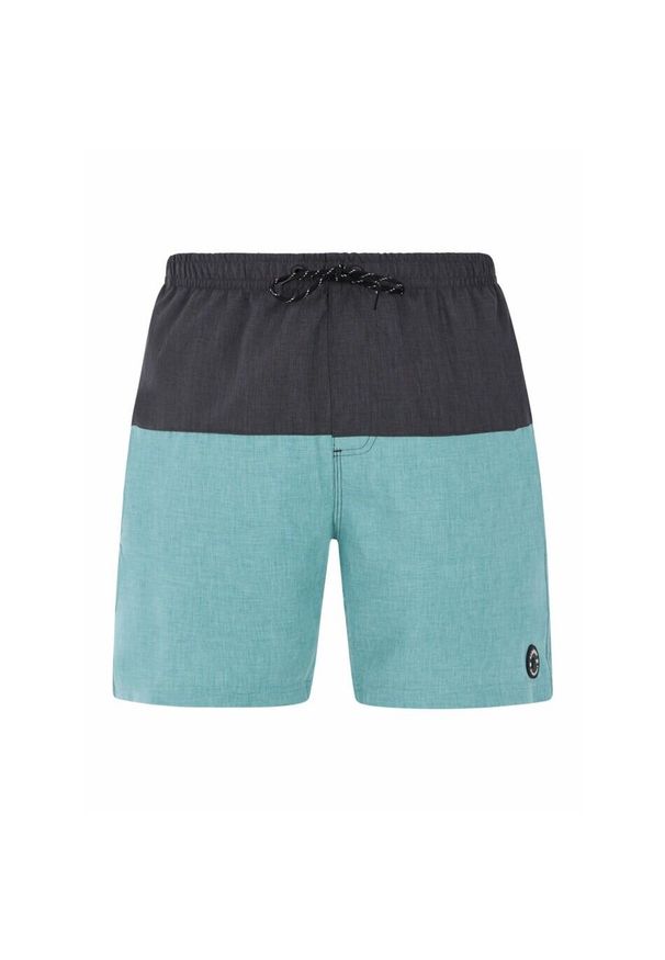 Szorty kąpielowe Protest Prtheli. Kolor: wielokolorowy, niebieski, zielony