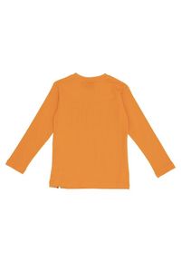 LEONE 1947 APPAREL - Dziecięcy t-shirt basic Leone z długim rękawem. Kolor: pomarańczowy. Długość rękawa: długi rękaw. Długość: długie. Sport: joga i pilates