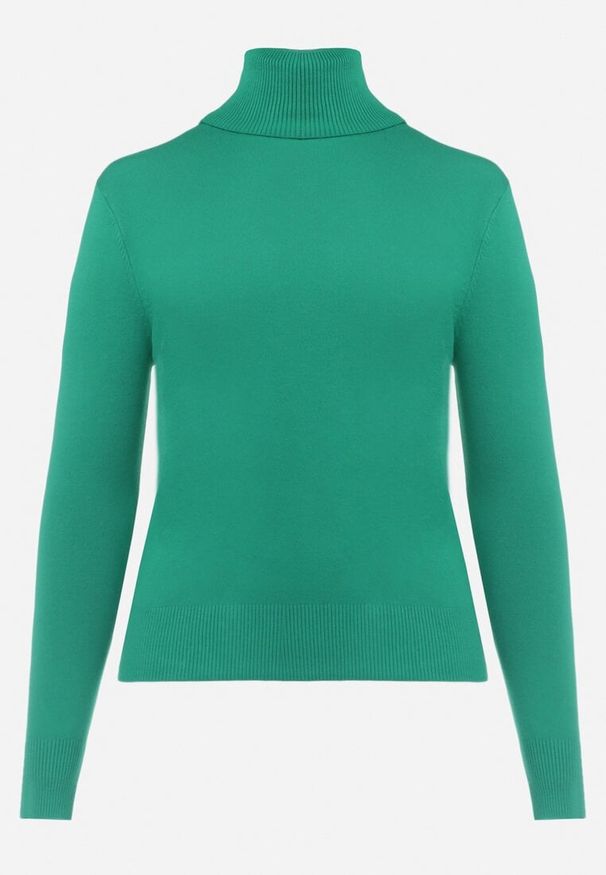 Born2be - Zielony Sweter z Golfem Sazerna. Typ kołnierza: golf. Kolor: zielony. Materiał: tkanina, wiskoza, dzianina. Długość rękawa: długi rękaw. Długość: długie. Wzór: gładki. Sezon: zima, jesień