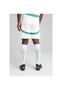 Puma - Męskie szorty Senegal 2025 PUMA White Sport Green. Kolor: biały, wielokolorowy, zielony. Wzór: aplikacja