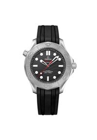 Zegarek Męski OMEGA SEAMASTER 210.32.42.20.01.002