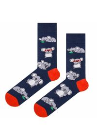 His Story - Skarpetki Bawełniane - Tematyczne - Miś Koala, Granatowe. Kolor: niebieski. Materiał: elastan, bawełna, poliamid #2