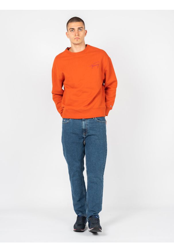 TOMMY HILFIGER - Tommy Jeans Jeansy Dad Jean | DM0DM13136 | Dad Jean | Mężczyzna | Niebieski. Okazja: na co dzień. Kolor: niebieski. Wzór: aplikacja. Styl: casual