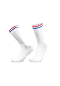 BIKEFLOW - Skarpetki kolarskie Aero kompresyjne Francja Niebieski Biały Czerwony 39-44. Kolor: czerwony, niebieski, wielokolorowy, biały. Sport: kolarstwo #1
