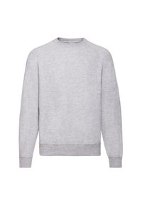 FRUIT OF THE LOOM - Męska Klasyczna Zwykła Bluza Raglanowa. Kolor: szary. Długość rękawa: raglanowy rękaw