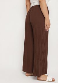 Born2be - Brązowe Szerokie Spodnie z Plisowanej Tkaniny z Gumką w Pasie Cesele. Kolekcja: plus size. Kolor: brązowy. Materiał: tkanina. Styl: elegancki #7