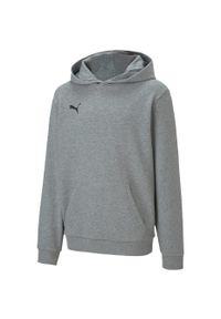 Bluza dla dzieci Puma teamGOAL 23 Casuals Hoody Jr Medi szara. Kolor: szary