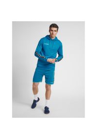 Bluza do piłki ręcznej męska Hummel hml AUTHENTIC Poly. Kolor: wielokolorowy, niebieski, turkusowy. Sport: fitness #1