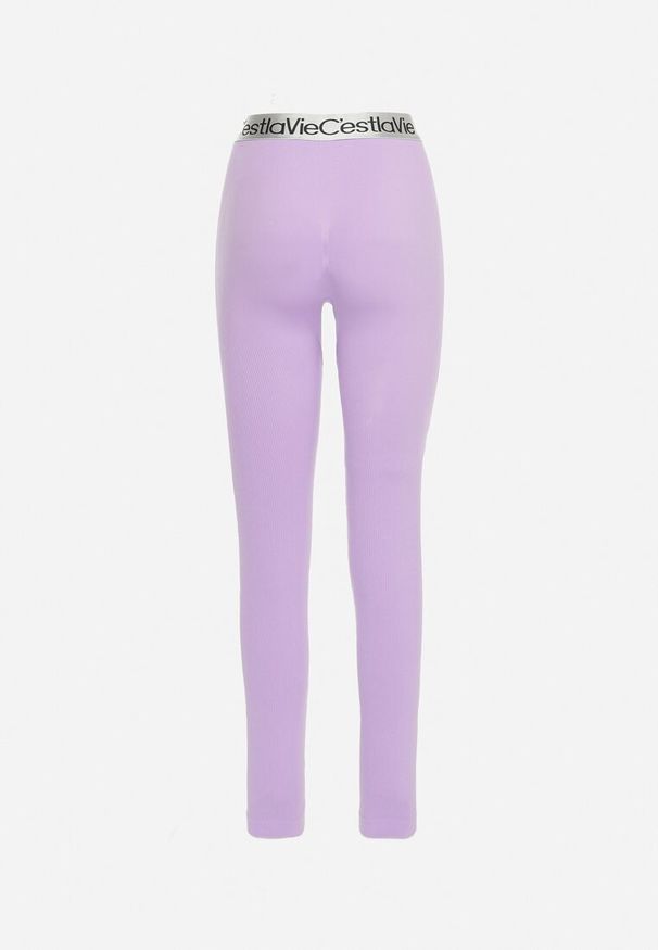 Born2be - Jasnofioletowe Elastyczne Legginsy z Szeroką Gumą w Pasie Rindama. Kolor: fioletowy. Materiał: guma. Styl: sportowy