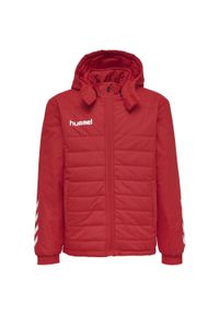 Kurtka dziecięca Hummel hmlPROMO Szorty bench. Typ kołnierza: kaptur. Kolor: czerwony, wielokolorowy, różowy. Sport: piłka ręczna #1