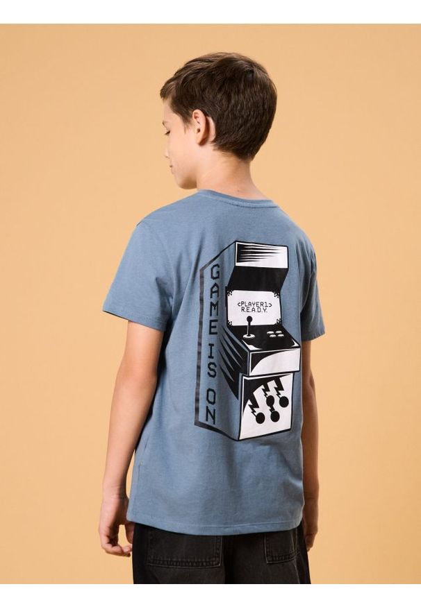 Sinsay - Koszulka z nadrukiem na plecach - mid blue. Wzór: nadruk