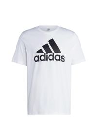 Adidas - Koszulka męska adidas Essentials Single Jersey Big Logo Tee. Kolor: czarny, wielokolorowy, biały. Materiał: jersey