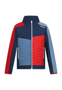 Regatta - Kurtka Dziecięca Brynden Padded Full Zip Soft Shell Jacket. Kolor: czerwony, niebieski, wielokolorowy