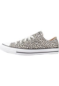 Tenisówki Converse Model Chuck Taylor All Star Kolor Nadruk Zwierzęcy. Kolor: wielokolorowy. Materiał: tkanina. Wzór: motyw zwierzęcy, nadruk