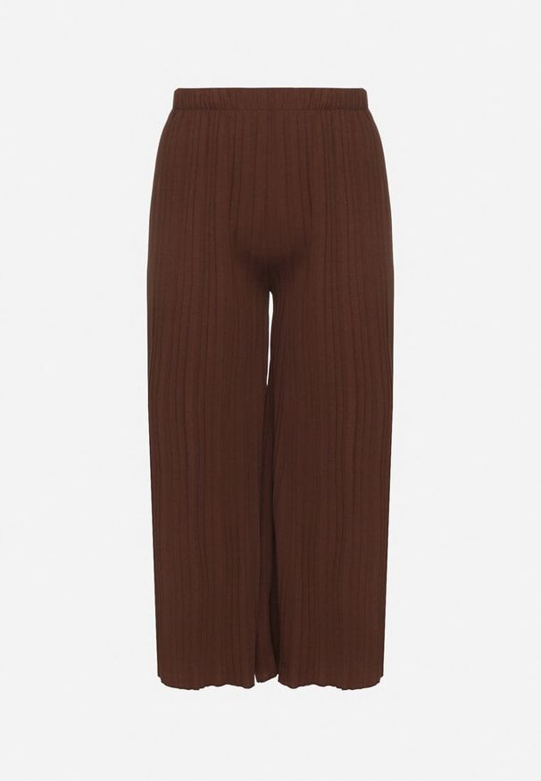 Born2be - Brązowe Szerokie Spodnie z Plisowanej Tkaniny z Gumką w Pasie Cesele. Kolekcja: plus size. Kolor: brązowy. Materiał: tkanina. Styl: elegancki