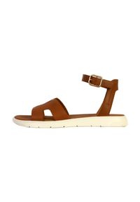 Sandały damskie Geox Dandra. Kolor: brązowy. Sezon: lato #1