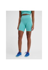 Damskie wysokie legginsy bezszwowe Hummel Alive. Kolor: wielokolorowy, niebieski, zielony. Materiał: materiał. Sport: fitness #1