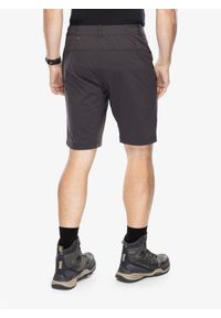 Spodenki turystyczne męskie Helly Hansen Elv Light Tur Shorts. Kolor: szary. Sport: turystyka piesza