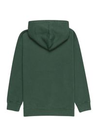 Bluza sportowa chłopięca Element Cornell 3.0. Kolor: zielony. Materiał: bawełna