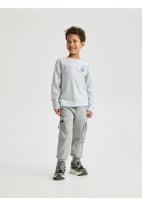 Reserved - Bawełniany longsleeve - jasnoszary. Kolor: szary. Materiał: bawełna. Długość rękawa: długi rękaw #1