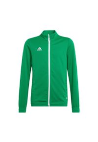 Adidas - Bluza piłkarska dla dzieci adidas Entrada 22 Track Jacket. Kolor: zielony, wielokolorowy, biały. Materiał: materiał. Sport: piłka nożna