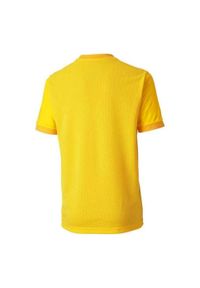 Puma - Koszulka Dziecięca TeamGoal. Kolor: żółty