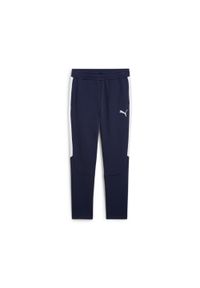 Spodnie dresowe Puma Team Evostripe. Kolor: niebieski. Materiał: dresówka. Sport: piłka nożna #1