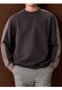 Sinsay - Bluza crewneck z lampasami - szary. Kolor: szary #1