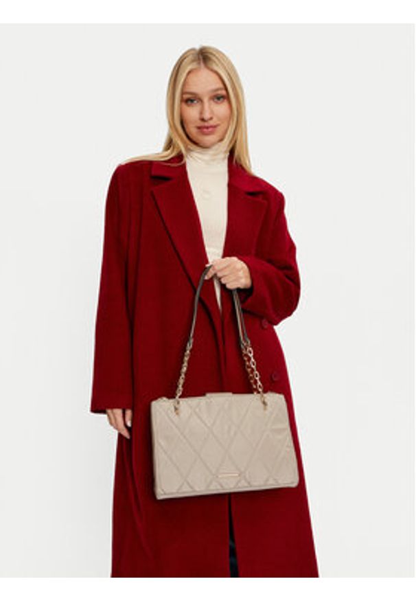 Aldo Torebka Daulle 13901680 Beżowy. Kolor: beżowy. Materiał: skórzane