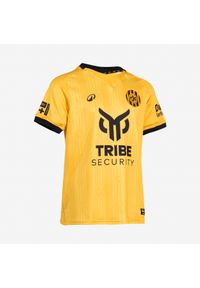 KIPSTA - Koszulka piłkarska dla dzieci Kipsta oficjalna Roda JC Kerkrade domowa. Materiał: poliester, tkanina, elastan, materiał, prążkowany. Sport: piłka nożna #1