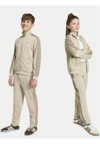 Adidas - adidas Spodnie dresowe Firebird HZ6652 Beżowy jasny Regular Fit. Kolor: beżowy. Materiał: syntetyk #1
