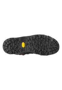 Buty trekkingowe damskie Salewa WS Alp Trainer 2 Mid Gtx. Kolor: wielokolorowy, czarny. Materiał: guma, materiał, syntetyk