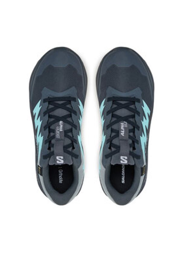 salomon - Salomon Buty do biegania Alphaglide Gore-Tex L47802500 Szary. Kolor: szary. Materiał: materiał. Technologia: Gore-Tex