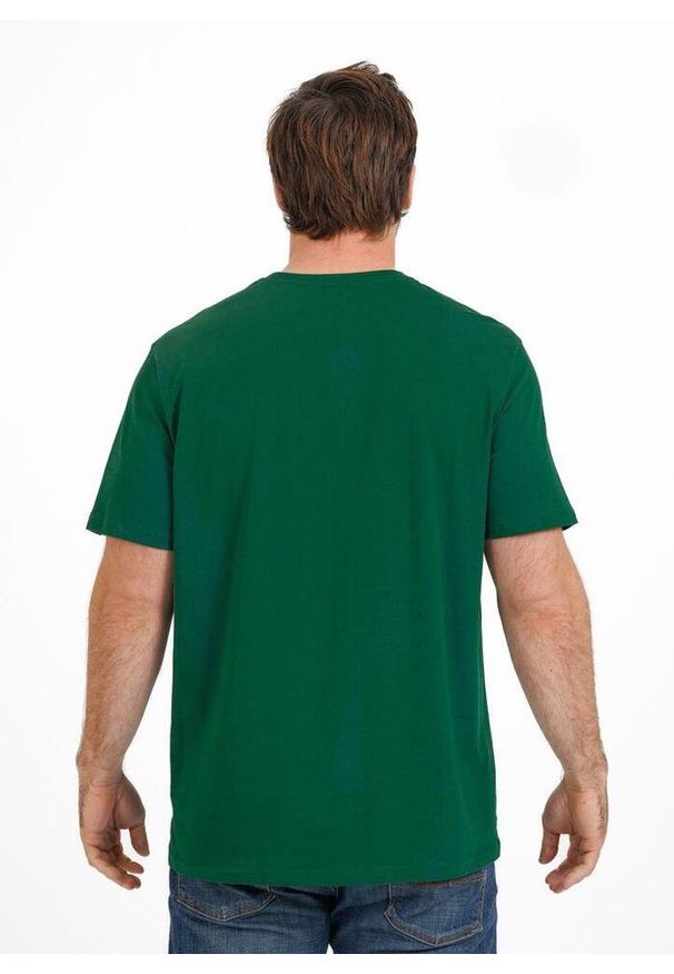 PITBULL - Koszulka bawełniana sportowy t-shirt dla dorosłych Scratch. Kolor: czarny, zielony, wielokolorowy. Materiał: bawełna