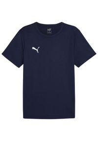 Puma - Męska Koszulka Meczowa TeamRise. Kolor: niebieski. Sport: turystyka piesza