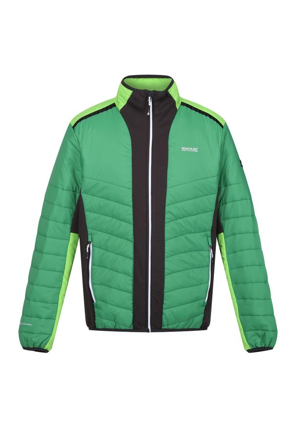 Regatta - Męska Kurtka Halton VII Contrast Panel Baffled Padded Jacket. Kolor: zielony