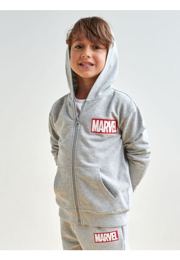 Sinsay - Bluza Marvel - szary. Typ kołnierza: kaptur. Kolor: szary. Materiał: dzianina, bawełna. Wzór: motyw z bajki