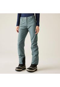 DARE 2B - Damskie wodoodporne izolowane spodnie narciarskie Shrink. Kolor: szary. Sezon: zima. Sport: narciarstwo #1