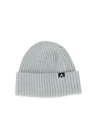Czapka Whistler Plico. Kolor: szary, niebieski, wielokolorowy. Sezon: zima. Styl: sportowy #1