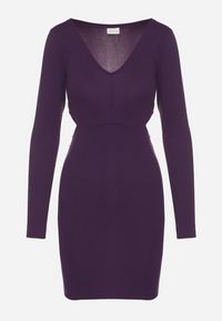 Born2be - Fioletowa Sukienka o Dopasowanym Kroju z Wycięciami w Talii Halassia. Okazja: na randkę, na co dzień. Typ kołnierza: dekolt w serek. Kolor: fioletowy. Długość rękawa: długi rękaw. Typ sukienki: dopasowane, proste. Styl: casual, elegancki #3