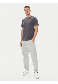 Parajumpers T-Shirt Patch 25WMPMTSEY29 Szary Regular Fit. Kolor: szary. Materiał: bawełna #3