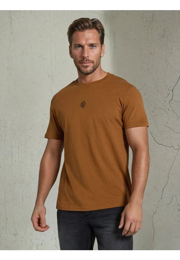 Sinsay - Bawełniana koszulka z nadrukiem - brązowy. Kolor: brązowy. Materiał: bawełna. Wzór: nadruk