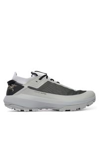 Trekkingi Arc'teryx. Kolor: szary. Sport: turystyka piesza #1