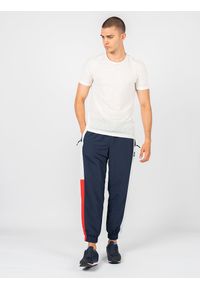 TOMMY HILFIGER - Tommy Jeans Spodnie | DM0DM12761 | Mężczyzna | Biały, Czerwony, Granatowy. Kolor: wielokolorowy, biały, czerwony, niebieski. Materiał: poliamid. Wzór: aplikacja #2