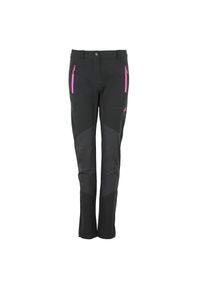 PEAK MOUNTAIN - Spodnie damskie z 2 kieszeniami na ręce Peak Mountain. Kolor: czarny. Sezon: lato. Sport: turystyka piesza #1