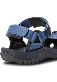 Jack Wolfskin Sandały Lakewood Ride Sandal M 4019021 Granatowy. Kolor: niebieski. Materiał: materiał #5