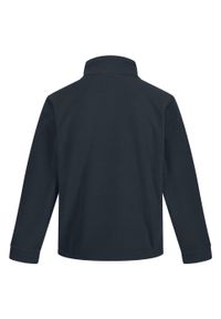 Regatta - Męska Bluza Polarowa Thor 350. Kolor: niebieski. Materiał: polar. Sezon: zima. Styl: sportowy. Sport: turystyka piesza #2