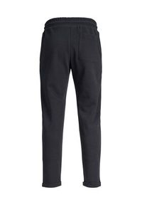 Jack&Jones Junior Spodnie dresowe 12247924 Granatowy Slim Fit. Kolor: niebieski. Materiał: bawełna