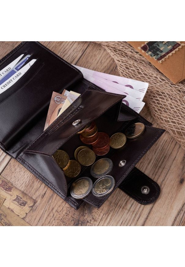 Portfel męski brązowy PAOLO PERUZZI T-14-BR. Kolor: brązowy. Materiał: skóra